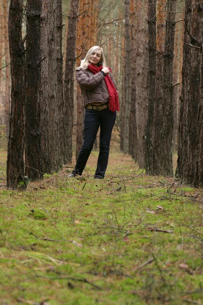 Unga ensamma kvinnor i skogen — Stockfoto