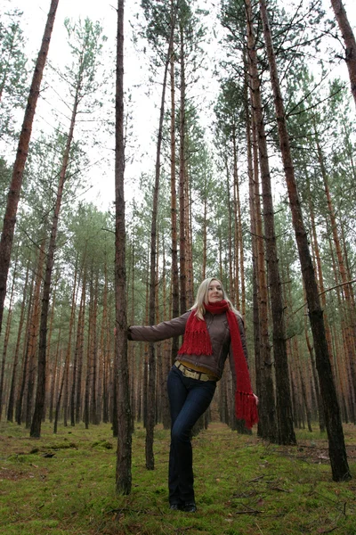 Jovens mulheres sozinhas na floresta — Fotografia de Stock