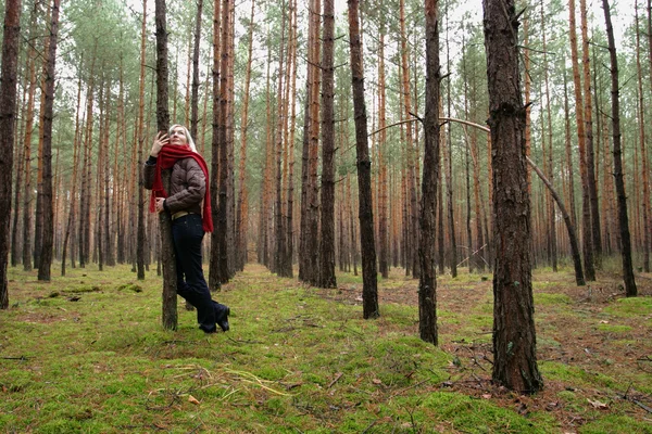 Jonge alleen vrouwen in bos — Stockfoto