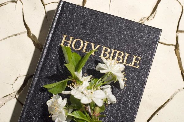 Bible Kniha — Stock fotografie