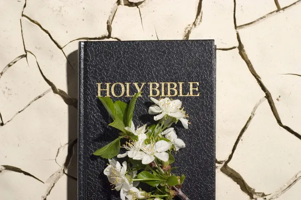 Libro de la Biblia — Foto de Stock