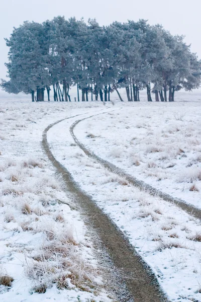 Kış landskapes — Stok fotoğraf