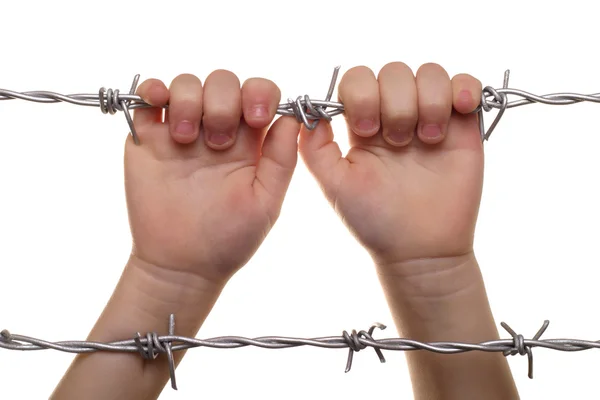 Child hand on barbed wire — Stock Photo, Image