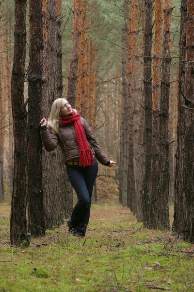 Young alone women in forest Royalty Free Stock Photos