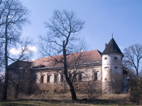 Ruin of castle Stock Picture