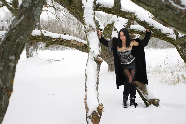 Leuk meisje in de winterlandschap buiten — Stockfoto