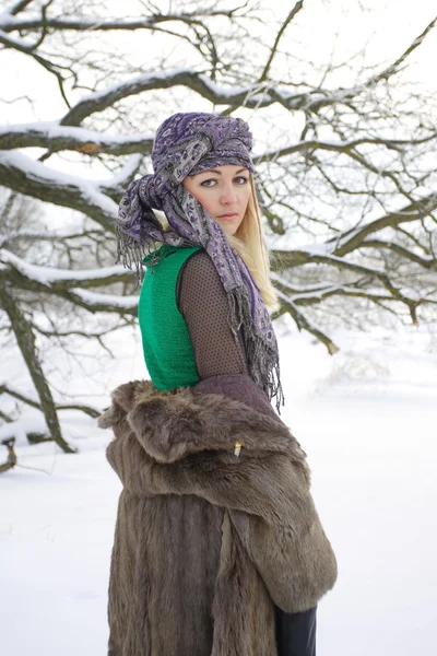 Bella ragazza nel paesaggio invernale all'aperto — Foto Stock