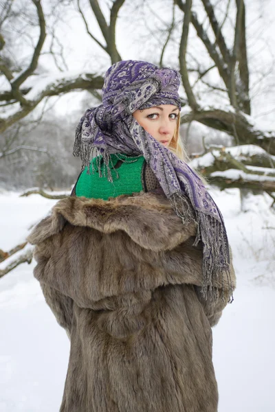 Leuk meisje in de winterlandschap buiten — Stockfoto