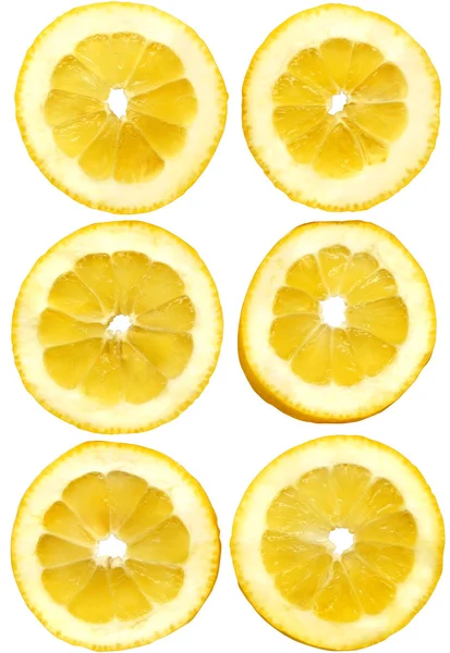 Lemon slices on white — Stock Photo, Image