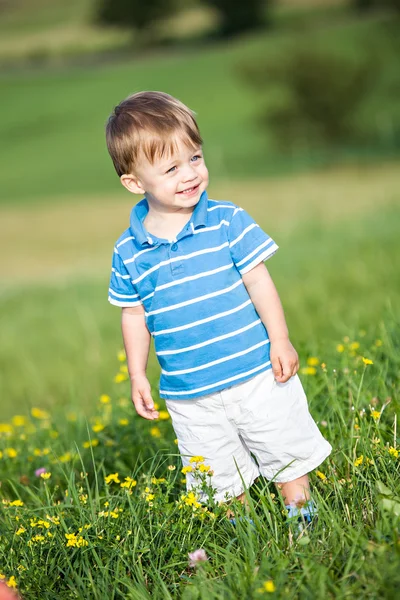 Pojke på ängen — Stockfoto