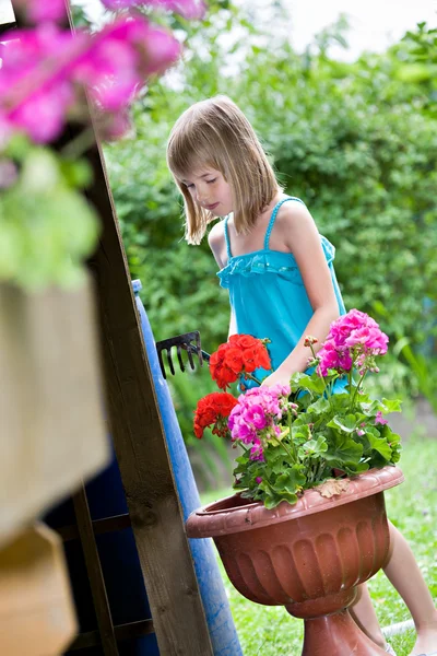 Travailler dans le jardin — Photo