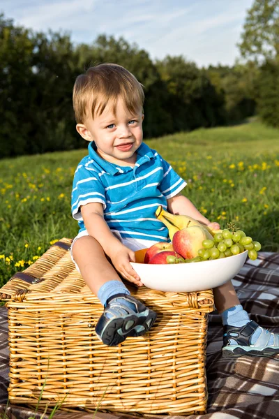 Chłopiec piknik — Zdjęcie stockowe