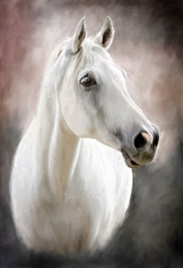 Картина, постер, плакат, фотообои "белая лошадь картина портрет", артикул 13274948