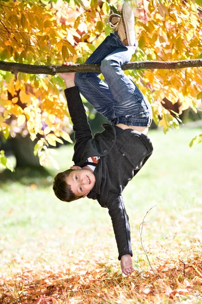 Jongen in de herfst park — Stockfoto