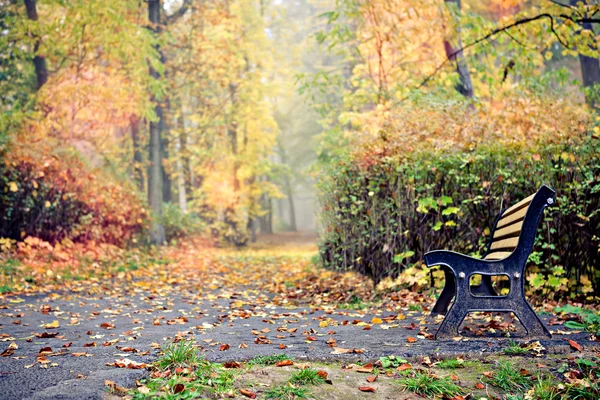Park in fall — Stock Photo, Image