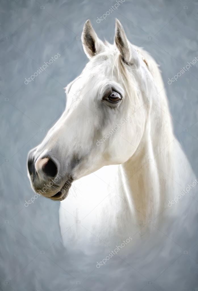 photo Imagenes De Cabezas De Caballos Reales https sp depositphotos com stock photos cabeza de caballos html