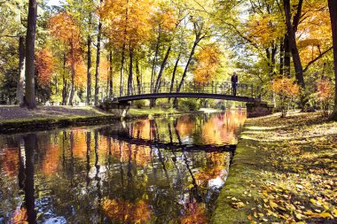 Park Güz