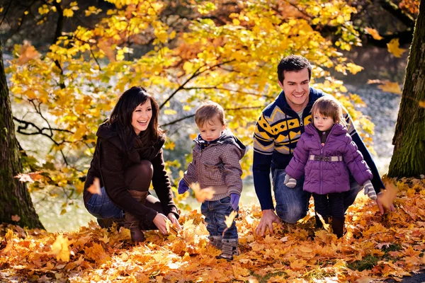 Park in fall — Stock Photo, Image