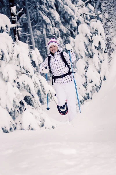 Escursioni invernali — Foto Stock