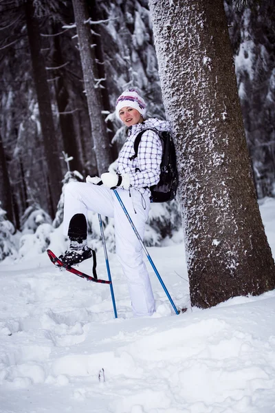 Winterwandelen — Stockfoto