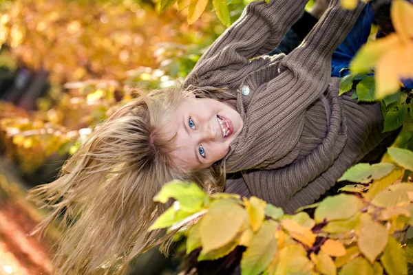 Park in fall — Stock Photo, Image
