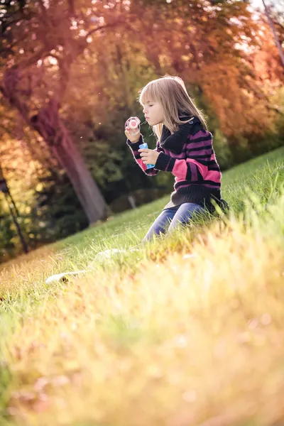 Park i höst — Stockfoto