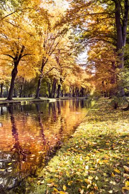 Park Güz