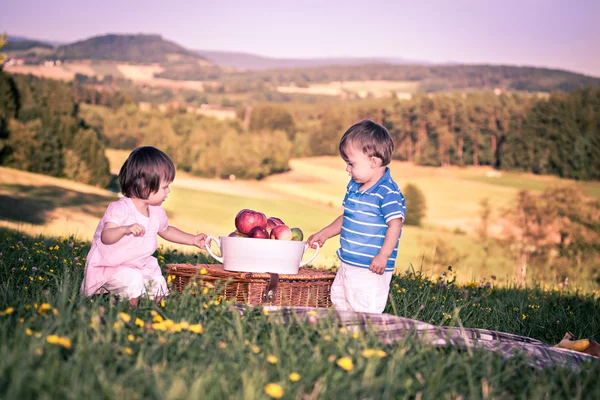 Gémeos no prado — Fotografia de Stock