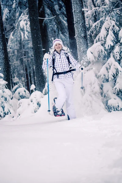 Senderismo de invierno — Foto de Stock