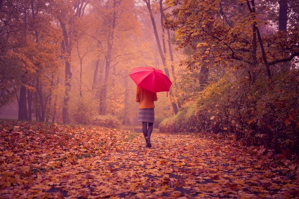 Park in fall — Stock Photo, Image