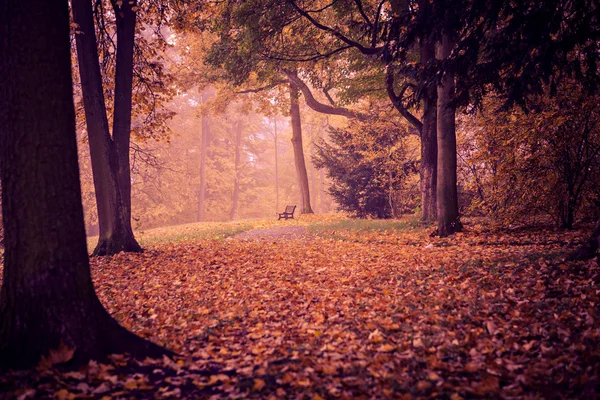 Park in het najaar — Stockfoto