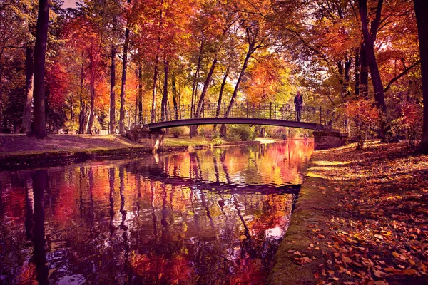 Park in fall — Stock Photo, Image