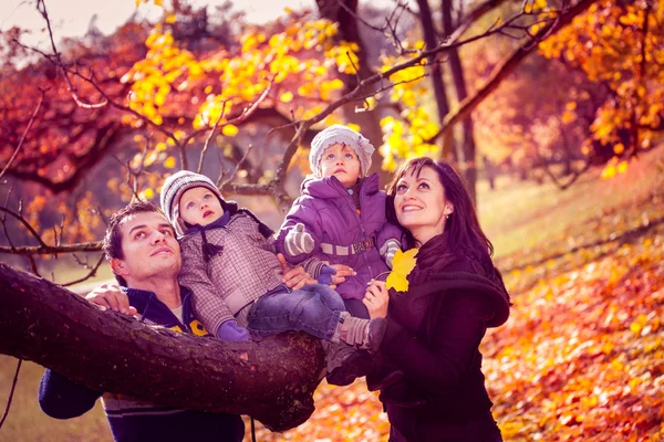 Family in the autumn park — Stock Photo, Image