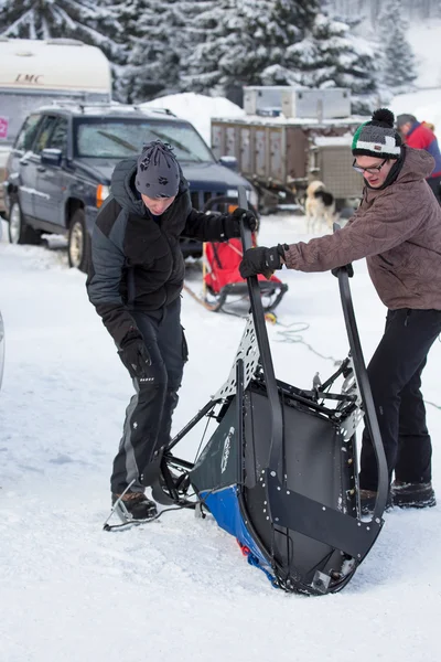 Sled Dog Racing — Stock Photo, Image