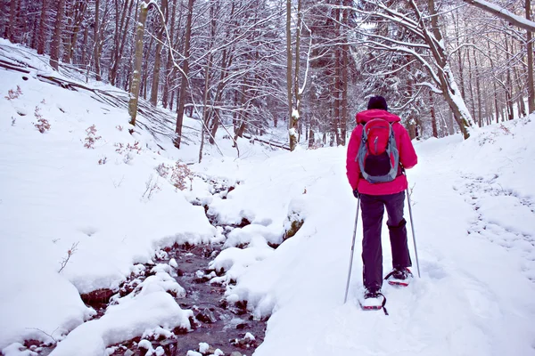 Com sapatos de neve em uma floresta de inverno — Fotografia de Stock