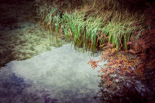 Lago di Dobiacco — Fotografia de Stock