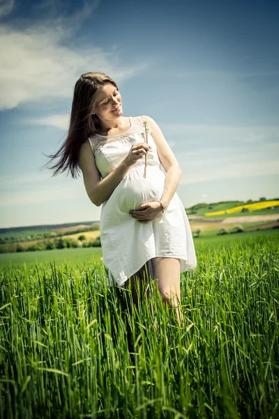 Mujer embarazada. — Foto de Stock