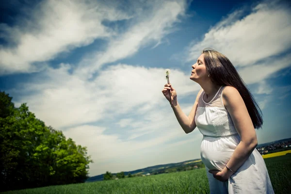 Těhotná žena — Stock fotografie