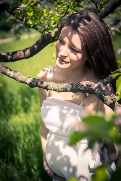 Pregnant woman — Stock Photo, Image