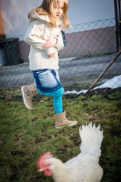 Con gallina in cortile — Foto Stock