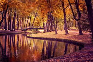 Park Güz