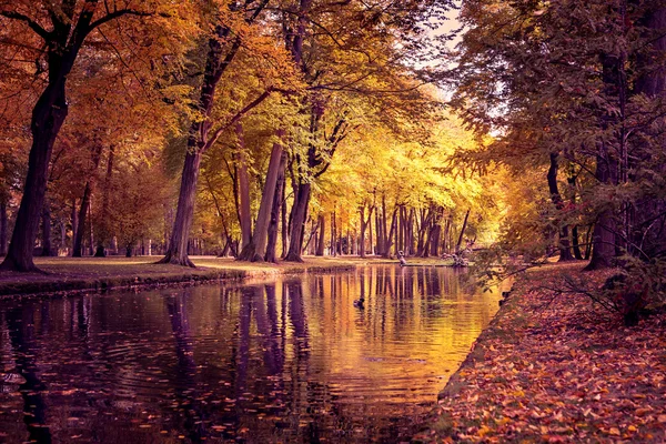 Park in fall — Stock Photo, Image