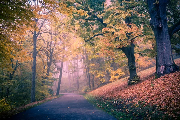 Parque en otoño —  Fotos de Stock