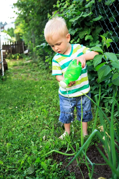 Trädgård spela — Stockfoto