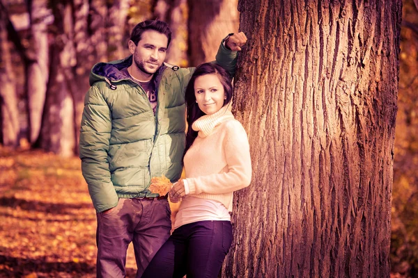 Par i höst park — Stockfoto