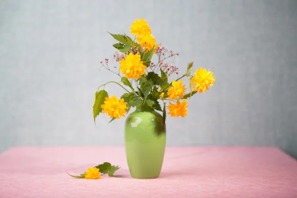 Camomile — Stock Photo, Image