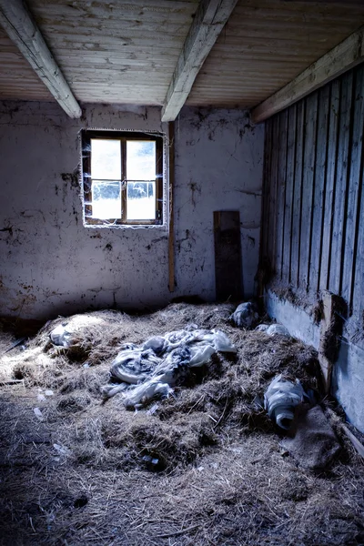 Edifício squalid — Fotografia de Stock