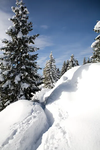 Schneeberg — Stock Photo, Image