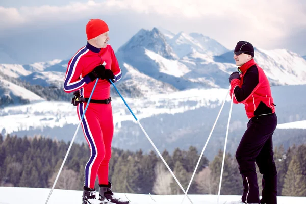 Skilanglauf — Stockfoto