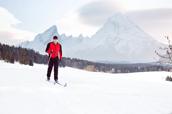 Skilanglauf — Stockfoto